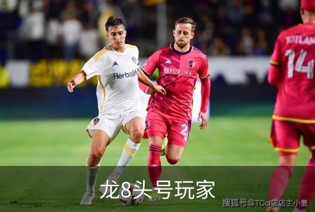 龙8头号玩家品牌故事